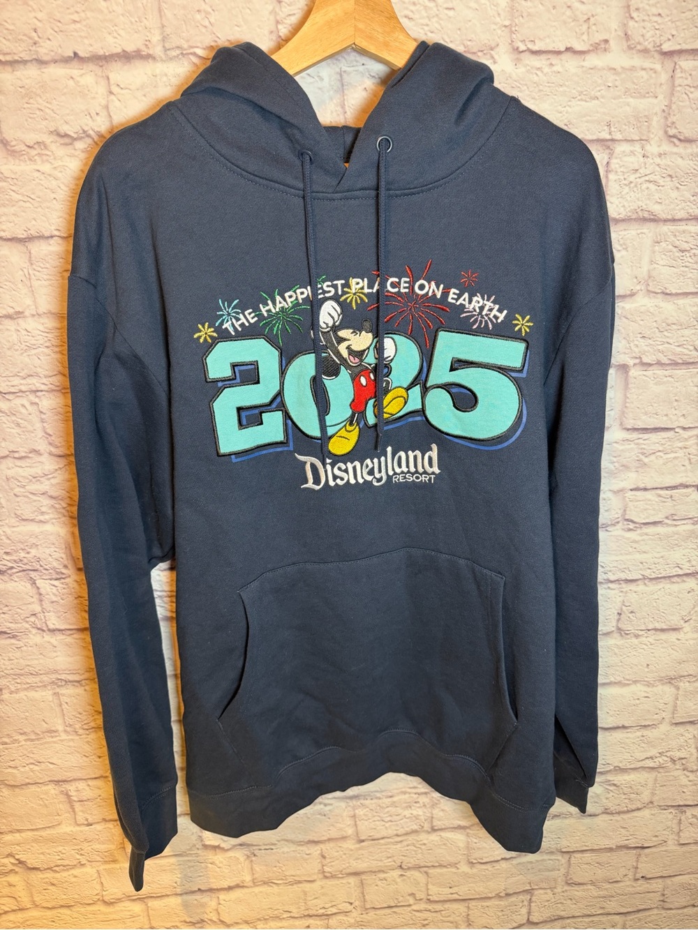 Disneyland Resort Navy 2025 Hoodie Sweater size large men or women